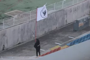 ΦΩΤΟΣ/Oι δύο μικροί ανεμίζουν περήφανα τον Δικέφαλο!