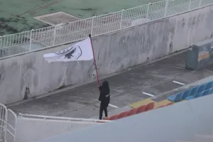 ΦΩΤΟΣ/Oι δύο μικροί ανεμίζουν περήφανα τον Δικέφαλο!