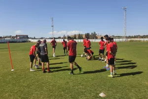 Κλίκς των φτεροπόδαρων