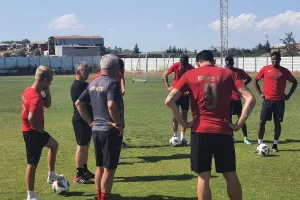 Κλίκς των φτεροπόδαρων