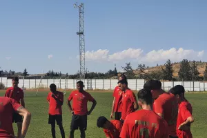Κλίκς των φτεροπόδαρων