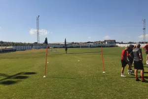 Κλίκς των φτεροπόδαρων