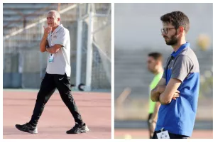 Δηλώσεις Ανδρονίκου και Προκοπίου