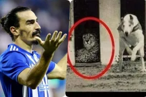"Μπηχτή" από Λάζαρο/Με τσιτάχ και σκύλους