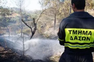 Υπό έλεγχο η πυρκαγιά στον Άγιο Θωμά στα Λεύκαρα