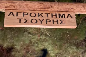 Οικογενειακή βραδιά... by Aετός Αγγλισίδων (φώτος)