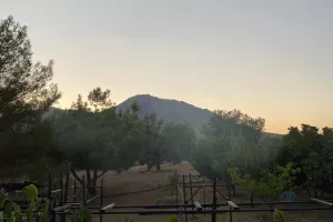 Οικογενειακή βραδιά... by Aετός Αγγλισίδων (φώτος)