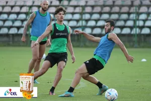 Μέρα 9η: Πράσινη... δράση απ΄το Κίελτσε 