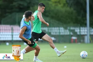 Μέρα 9η: Πράσινη... δράση απ΄το Κίελτσε 