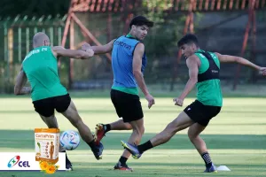 Μέρα 9η: Πράσινη... δράση απ΄το Κίελτσε 