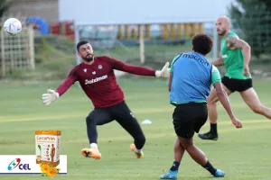 Μέρα 9η: Πράσινη... δράση απ΄το Κίελτσε 