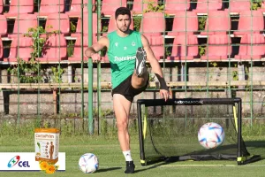 Μέρα 9η: Πράσινη... δράση απ΄το Κίελτσε 