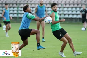 Μέρα 9η: Πράσινη... δράση απ΄το Κίελτσε 