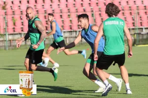 Μέρα 9η: Πράσινη... δράση απ΄το Κίελτσε 