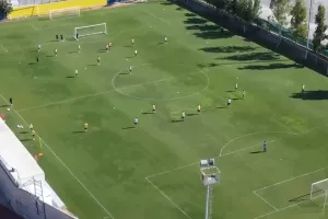 Λέοντες εν δράση! (Βίντεο)