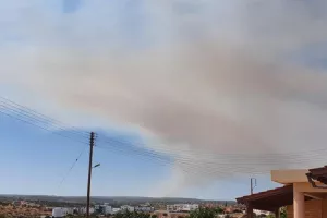Φωτιά Λεμεσός: Εκκενώνονται σπίτια! 