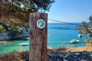 Διγενής παντού!