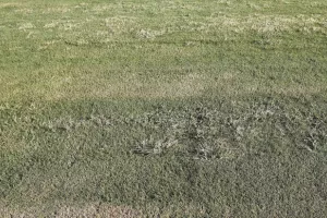 Τσίρειο/ Σε ΚΑΚΗ κατάσταση ο αγωνιστικός χώρος - ΠΟΙΑ η αιτία (Φώτος)