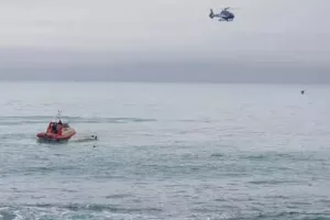 Τραγικό δυστύχημα στη Νέα Ζηλανδία: Σκάφος προσέκρουσε σε φάλαινα