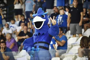 Μπλε Φοίνικας