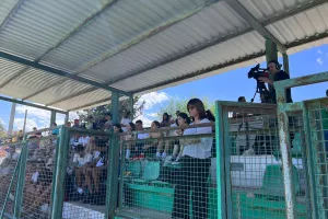 "Αιώνιο" ντέρμπι με γεμάτη κερκίδα