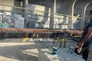 Κλασικά... σουβλάκια!