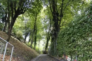 Γεύμα Απόλλωνα στους εκπροσώπους των ΜΜΕ (Φώτος)
