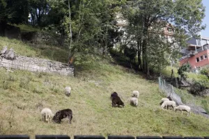 Γεύμα Απόλλωνα στους εκπροσώπους των ΜΜΕ (Φώτος)