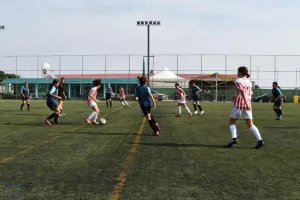 Πρωτάθλημα Κοριτσιών Κ-15: 14 ομάδες σε 2 φάσεις