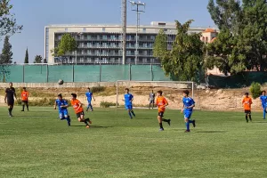 Κ14/Μοιρασιά Απόλλων - Αγία Νάπα