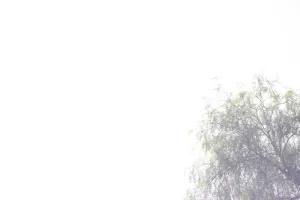 Κ17 Ολυμπιακός - Ένωση (φώτος/Δήλωσεις νικητών)