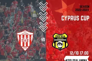 Τα εισιτήρια του αγώνα κυπέλλου με την Πέγεια 2014