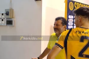 Επενδυτής (ΣΟΦΟ)
