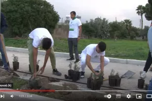 (Βίντεο/Ομόνοια) Η δεντροφύτευση στο Δάλι 