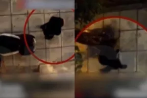 H συνταρακτική μαρτυρία του άνδρα που έσωσε την 20χρονη από τον "δράκο του Πειραιά"