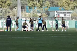 Ανάπτυξη παιχνιδιού, ατομικό για Παλάσιος