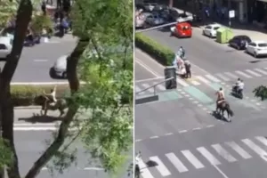 Αργεντινός βγήκε καβάλα στ' άλογο στους δρόμους του Ροζάριο για την κατάκτηση (βίντεο)