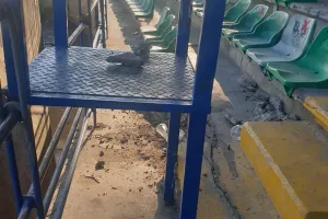 Ανάρτηση και φώτος ο Γενικός Διευθυντής ΑΕΛ: "Για όσους πιστεύουν ότι τρώμε ψέματα"
