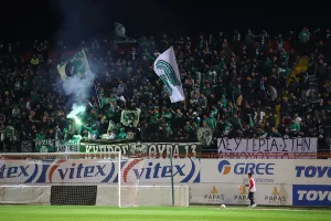 Νέα Σαλαμίνα - Παναθηναϊκός: "Πράσινη" νίκη με Σπόραρ (φώτος)