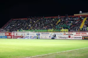 Κιτρινοπράσινο sold out