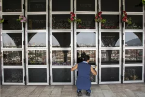 Το μοναδικό νεκροταφείο όπου θα ταφεί ο Πελέ - 14 όροφοι και με θέα το γήπεδο της Σάντος (φώτος)