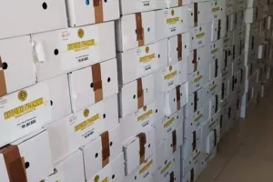 Κίτρινη Γραμμή: 1,100 πακέτα σε συμπολίτες μας