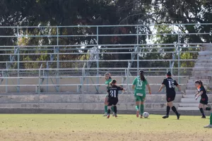 Καρμιώτισσα Χρυσομηλιά - Ομόνοια (Φωτορεπορτάζ)