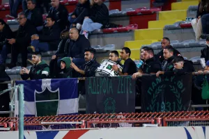 Ο κόσμος στο Νέα Σαλαμίνα-Ολυμπιακός (φωτορεπορτάζ)