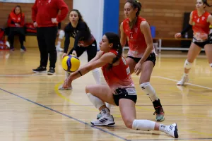 Αποτελέσματα 14ης Αγωνιστικής Α' Γυναικών (Φωτογραφίες Ανόρθωση - Νέας Σαλαμίνας)