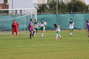 Λευκοθέα Λατσιών - Καρμιώτισσα Χρυσομηλιά Αγ. Αμβροσίου (Φωτορεπορτάζ)