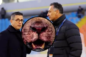 Ποστ... Τορναρίτη 