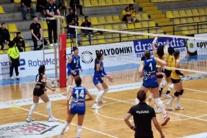 Τελικός Κυπέλλου Πετόσφαιρας
