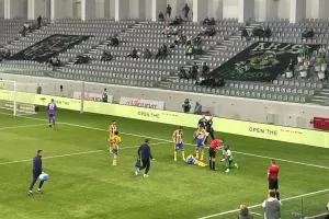 Αναγκαστική ο Βιγιαφάνες
