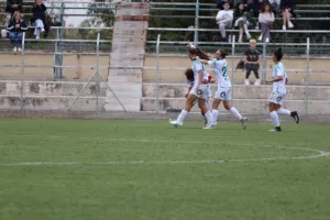 Καρμιώτισσα Χρυσομηλιά - Ομόνοια (Φωτορεπορτάζ)